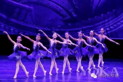 成人芭蕾学生汇演视频