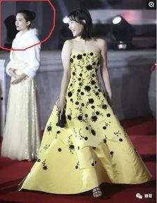 成人礼服姿势图解视频,成人礼服优雅姿势图解视频精华概述