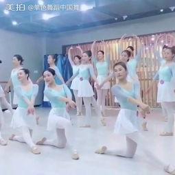 成人舞蹈培训学习的视频,成人舞蹈培训视频精华解析