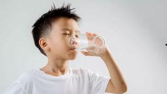 成人喝水视频模板大全,海量视频模板大盘点