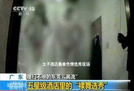 推荐在线成人视频,精选推荐与观看指南