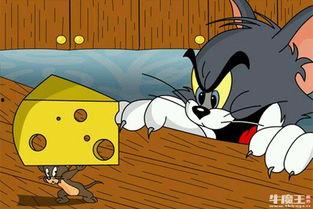 老鼠变成人短剧视频播放,老鼠逆袭成为人类