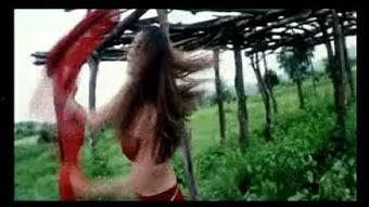 成人射视频 印度,揭秘其独特魅力与市场现状