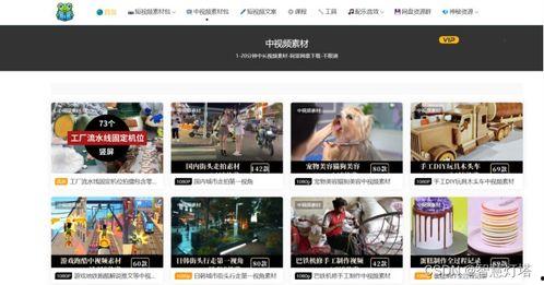 成人红帽视频素材网站,探索成人红帽视频素材网站的精彩世界