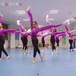 成人男女合跳中国舞视频,男女共展舞姿