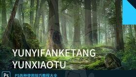 合成人物走动视频,从走动视频到合成人物动态解析