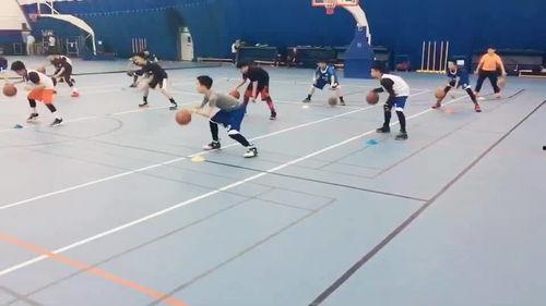 成人训练负重球视频,高效塑形与核心力量提升指南