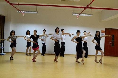 尊师颂成人舞蹈视频,成人舞蹈中的敬意与传承