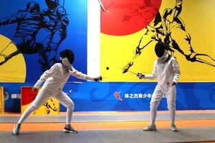 击剑体验成人教学视频,成人击剑教学视频深度解析